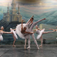 Royal Moscow Ballet zatančí v České republice Labutí jezero 